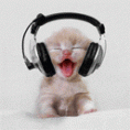/album/photogallery/diknkjpm25326p-0-gif1/